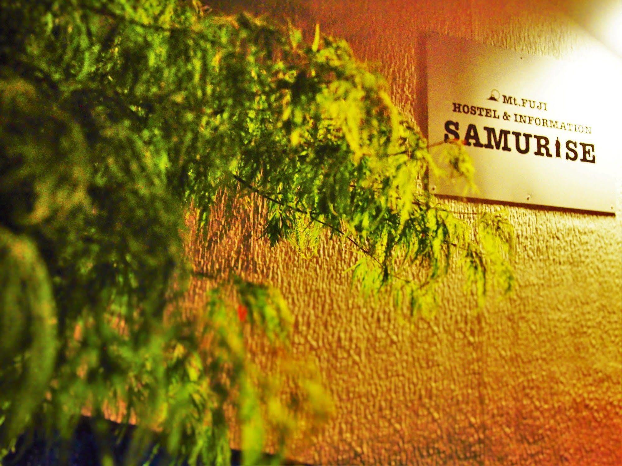 Hostel Samurise Mt Fuji Fujikawaguchiko Dış mekan fotoğraf